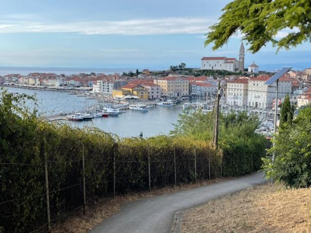 Apartments Cliff Piran Dış mekan fotoğraf